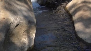 Orman nehri kayalar üzerinde su akıntısı, dağ ormanı nehir kayaları manzarası. 