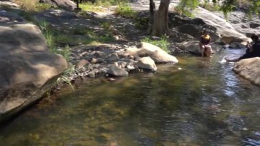 Orman nehri kayalar üzerinde su akıntısı, dağ ormanı nehir kayaları manzarası. 