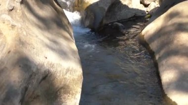 Orman nehri kayalar üzerinde su akıntısı, dağ ormanı nehir kayaları manzarası. 
