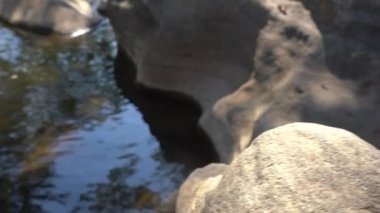 Orman nehri kayalar üzerinde su akıntısı, dağ ormanı nehir kayaları manzarası. 