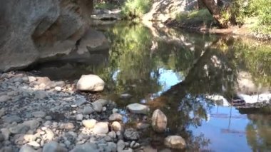 Orman nehri kayalar üzerinde su akıntısı, dağ ormanı nehir kayaları manzarası. 