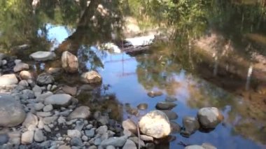 Orman nehri kayalar üzerinde su akıntısı, dağ ormanı nehir kayaları manzarası. 