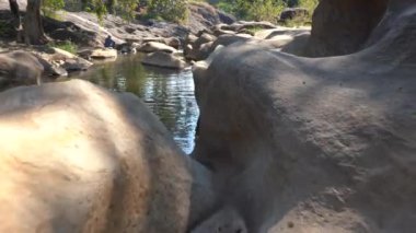 Orman nehri kayalar üzerinde su akıntısı, dağ ormanı nehir kayaları manzarası. 