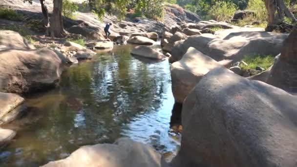 Bosque Río Sobre Rocas Flujo Agua Bosque Montaña Paisaje Rocoso — Vídeo de stock