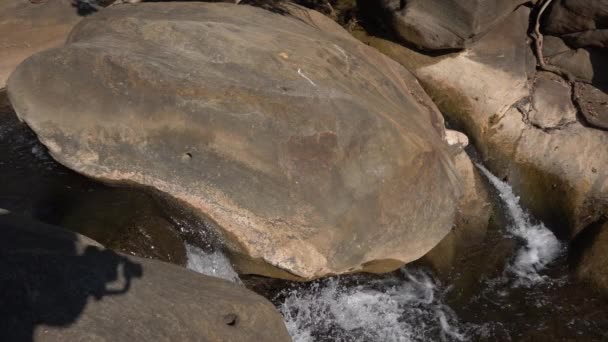 Лесная Река Скалах Водный Поток Горный Лесной Ландшафт — стоковое видео