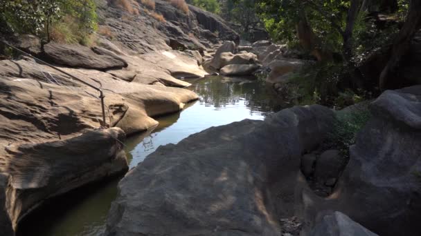 Metsä Joki Kiviä Veden Virtaus Mountain Forest River Rock Maisema — kuvapankkivideo
