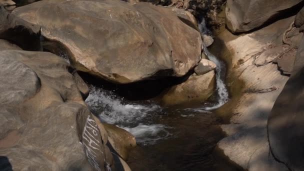 Лісова Річка Скелях Тече Вода Гірський Ліс Річковий Ландшафт — стокове відео