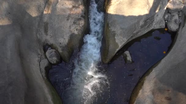 Лесная Река Скалах Водный Поток Горный Лесной Ландшафт — стоковое видео