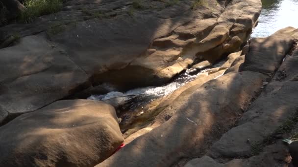 바위에 흐르는 삼림의 지역의 — 비디오