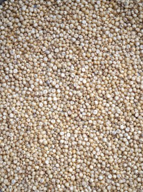 Sorghum taneleri tohumlar, taneler arkaplan dokusu.