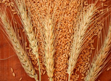 Buğday ve buğday taneleri, yakın plan. Sağlıklı gıda konsepti.