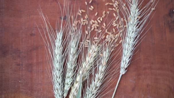 木製のテーブルの上に小麦や小麦の穀物の耳 健康食品の概念 — ストック動画