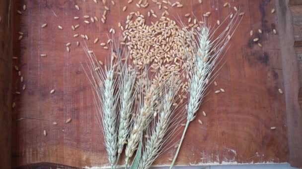 Oreille Blé Grain Blé Sur Table Bois Concept Alimentation Saine — Video