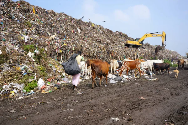 Amravati India Octubre 2020 Montaña Basura Gran Pila Basura Montón — Foto de Stock