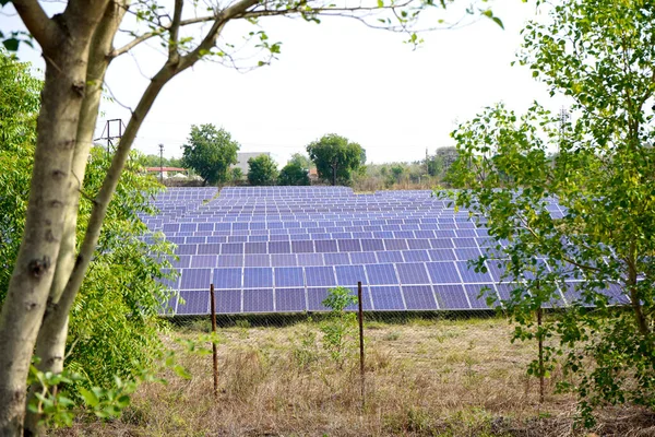 太阳能电池板农场或有阳光的太阳能电池组 — 图库照片