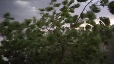 Güçlü rüzgar, esen rüzgar, yağmur fırtınası, şehrin üzerinde esen fırtına..