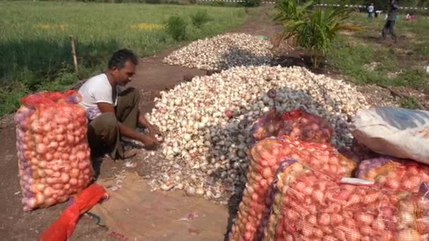 Nashik Maharashtra Índia Maio 2020 Agricultor Indiano Não Identificado Trabalhando — Vídeo de Stock