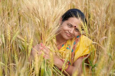Güzel genç Hintli kadın buğday tarlasında sari giyiyor.