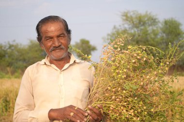 Mutlu Hintli çiftçi tarlasında.