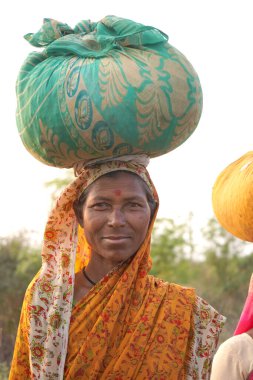  AMRAVATI, MAHARASHTRA, INDIA, 18 Mart 2020: Hindistan kırsal kesimindeki kadınlar işten eve giderken kafalarında tomar para taşıyorlar. 