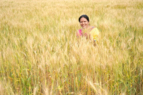 Szczęśliwa Kobieta Ciesząca Się Polu Pszenicy Piękno Natury Złote Pole — Zdjęcie stockowe