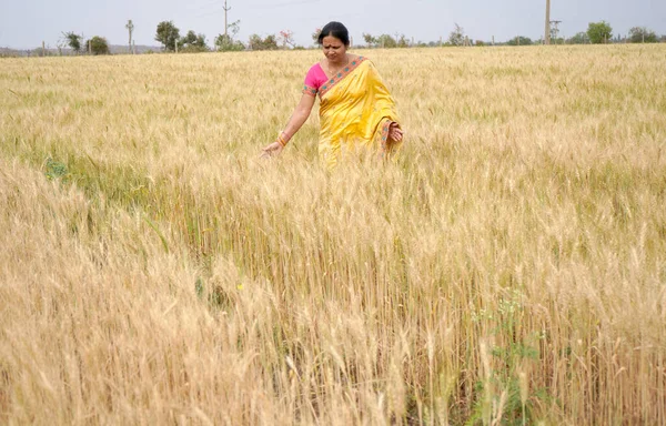 Gelukkige Vrouw Genietend Het Tarweveld Natuur Schoonheid Gouden Tarweveld Vrijheid — Stockfoto