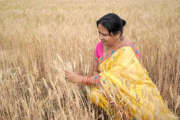 Mulher Feliz Desfrutando Campo Trigo Beleza Natureza Campo Trigo Dourado — Fotografia de Stock