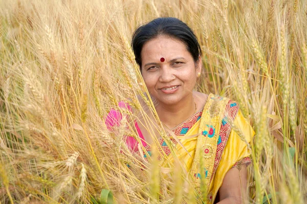 Mooie Jonge Indiase Vrouw Dragen Saree Het Tarweveld — Stockfoto