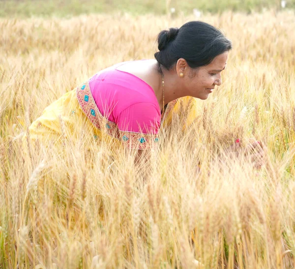 Mulher Feliz Desfrutando Campo Trigo Beleza Natureza Campo Trigo Dourado — Fotografia de Stock