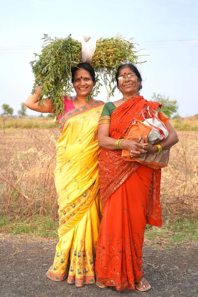 Indian Women Wearing Saree Field — Stok fotoğraf