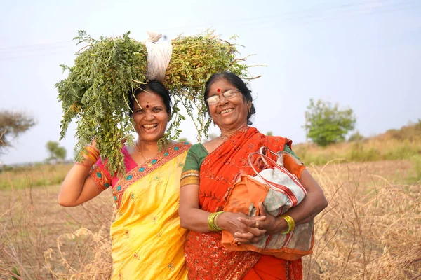 Indické Ženy Saree Poli — Stock fotografie