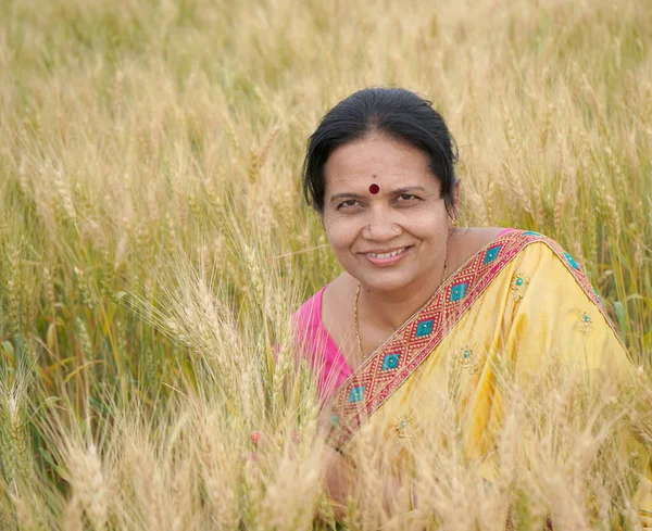 Outdoor Portret Van Indiase Vrouw Traditionele Kleding Staan Tarweveld Tijdens — Stockfoto