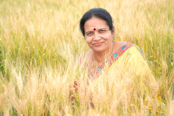 Outdoor Portret Van Indiase Vrouw Traditionele Kleding Staan Tarweveld Tijdens — Stockfoto