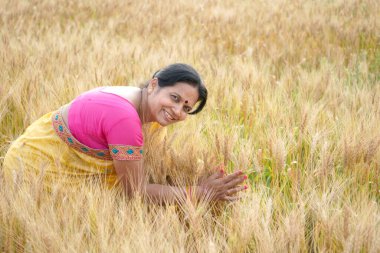 Hasat zamanı buğday tarlasında dikilen geleneksel giysili Hintli kadının açık hava portresi. 