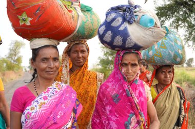  AMRAVATI, MAHARASHTRA, INDIA, 18 Mart 2020: Hindistan kırsal kesimindeki kadınlar işten eve giderken kafalarında tomar para taşıyorlar. 