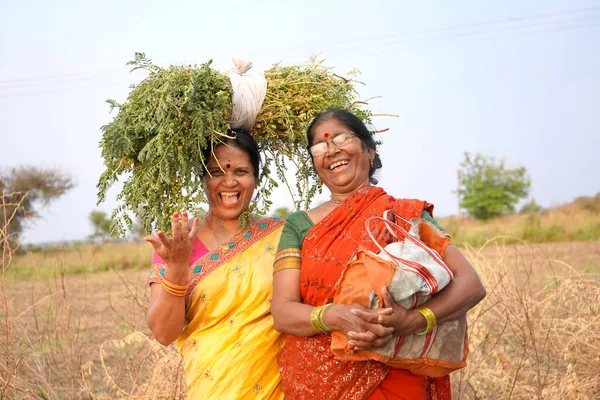 Mulher Indiana Vestindo Saree Campo Trigo Retrato Mulher Sorridente Campo — Fotografia de Stock