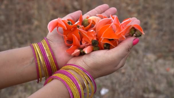 Close Mãos Femininas Com Flores — Vídeo de Stock