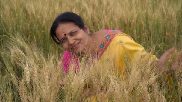 Outdoor Footage Indian Woman Traditional Clothes Sitting Wheat Field Harvest — Stock Video