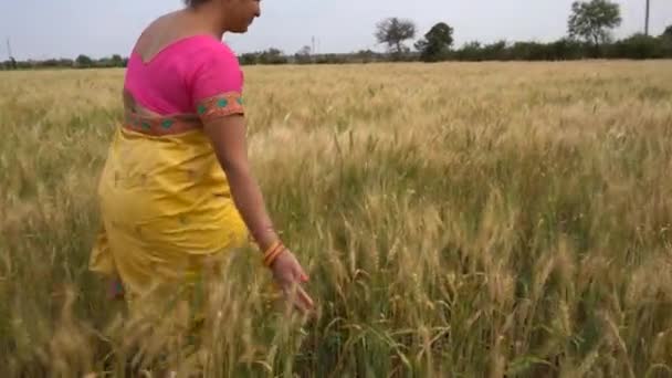 의상을 수확기에 거닐고 여자의 — 비디오