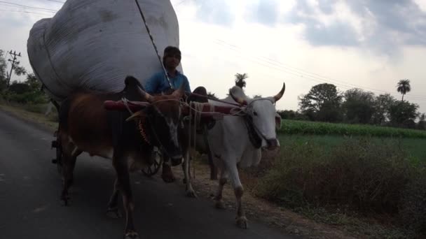Amravati マハラシュトラ州 インド 6月2017 彼の農場の通りにブロックカートを持つ未確認のインドの農家 インドの農業シーン — ストック動画