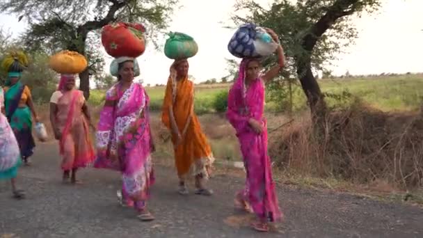 Amravati Maharashtra India Mars 2020 Indiska Lantbrukarkvinnor Som Transporterar Paket — Stockvideo