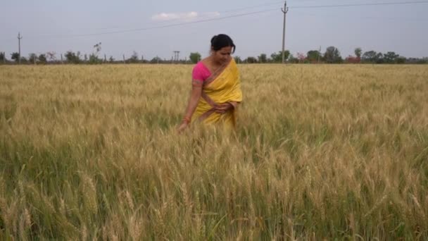 Imágenes Aire Libre Una Mujer India Vestida Con Ropa Tradicional — Vídeos de Stock