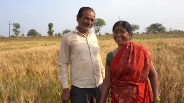 Feliz Casal Agricultor Indiano Campo Trigo — Vídeo de Stock