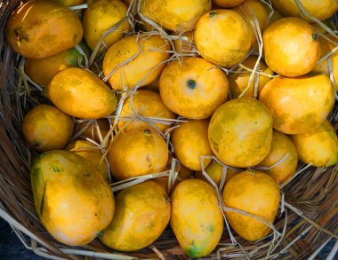 Fresh delicious sweet mangoes background
