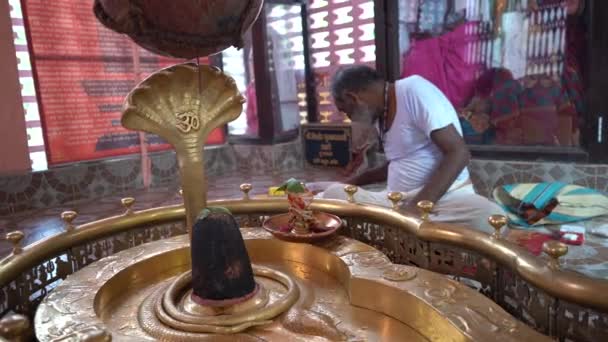 Amravati Maharashtra India June 2020 Hindu Priest Perform Puja Prayer — Vídeos de Stock