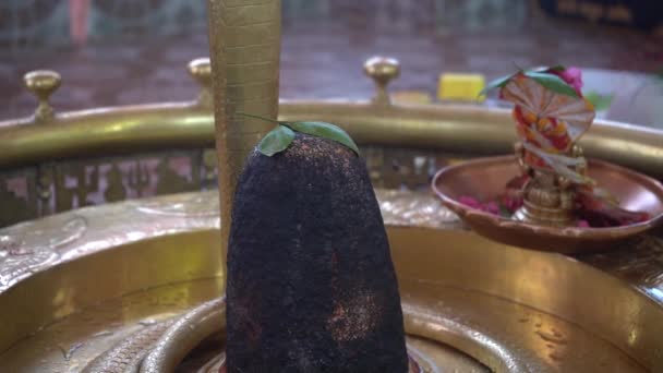 Hindoe Goden Shiva Linga Versierd Met Bel Patra — Stockvideo