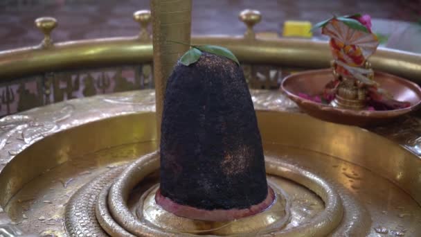 Hindu Gods Shiva Linga Decorated Bel Patra — Vídeos de Stock