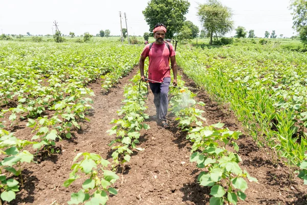 Farmer Spraying Cotton Field Pesticides Herbicides — Stock Photo, Image