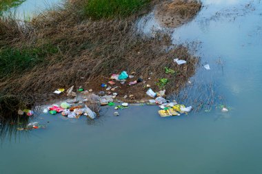 Nehir ya da göl kenarına atılmış plastik çöpler. Doğanın kirliliği, ekoloji kavramı