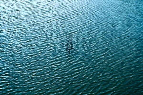 River Stream Rural India — Stock Photo, Image